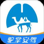 驼掌安驾2024版