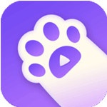 猫趣直播隐藏入口