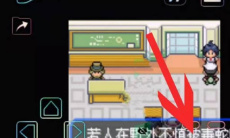 口袋妖怪究极绿宝石5.5性格更改方法指南2