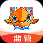 易船货监管端2024版