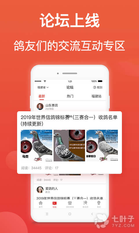 搜鸽天下1