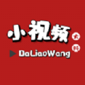 大料小视频免费版