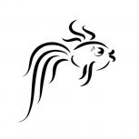 木鱼影院免费观看版