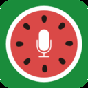 西瓜语音真人版