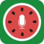 西瓜语音真人版
