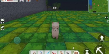 2022qq群自动抢红包APP