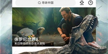 和骑士影院很像的APP