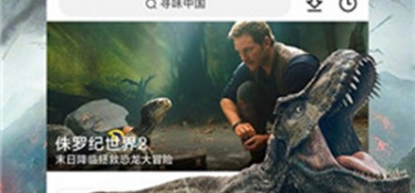 和骑士影院很像的APP