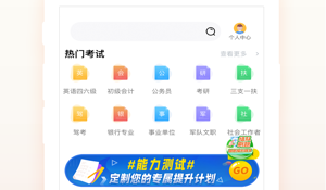 程序员刷题APP