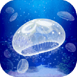 养育水母的治愈