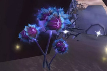 《魔兽怀旧服》雪莲花采集位置