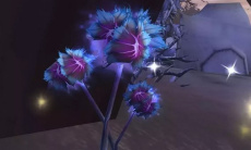 《魔兽怀旧服》雪莲花采集位置0