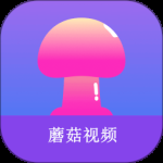 蘑菇视频直播