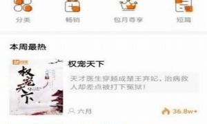 和书迷追书差不多的APP