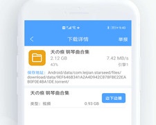 高效的磁力搜索引擎APP